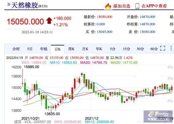 橡膠停割即將開啟，