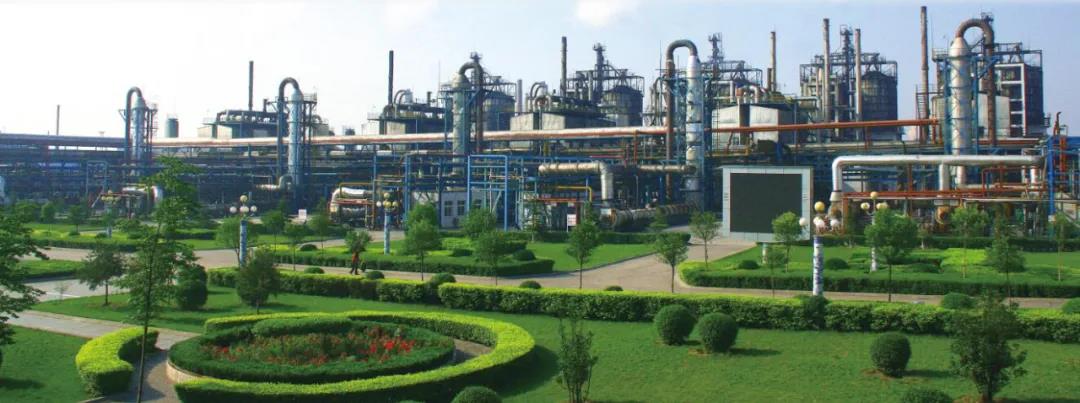 江西黑貓擬投建5萬(wàn)噸/年P(guān)VDF產(chǎn)業(yè)鏈