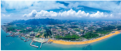 賽輪大手筆！175億元投資董家口新工廠