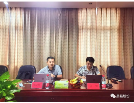 　安徽中鼎做為國內(nèi)最大的汽車橡膠零部件生產(chǎn)、出口企業(yè)，是黑貓股份差異化產(chǎn)品的重要客戶之一，此次評審為安徽中鼎第一次對黑貓公司開展審核活動，也是邯鄲黑貓首次接受差異化產(chǎn)品客戶方審核。